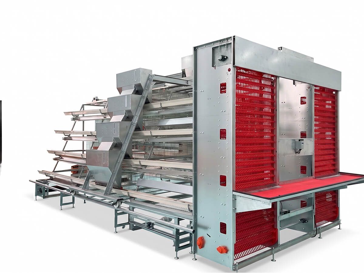A Type Automatic Breeding System