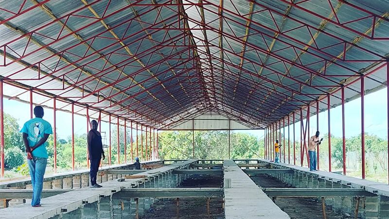 20,000 layers layer house in Ogun State, Nigeria